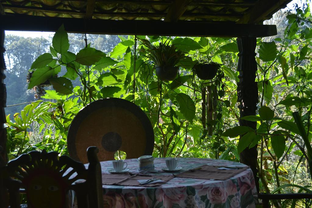 Eco Hotel La Jicarita Coatepec  Exterior photo
