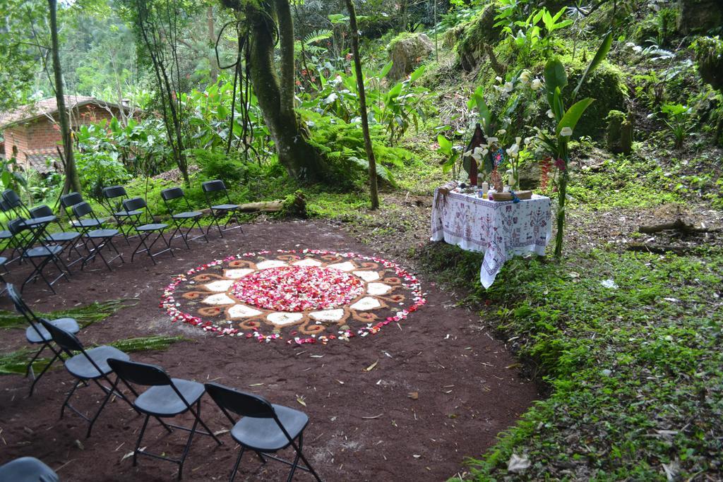 Eco Hotel La Jicarita Coatepec  Exterior photo