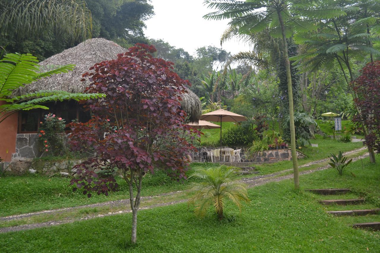 Eco Hotel La Jicarita Coatepec  Exterior photo