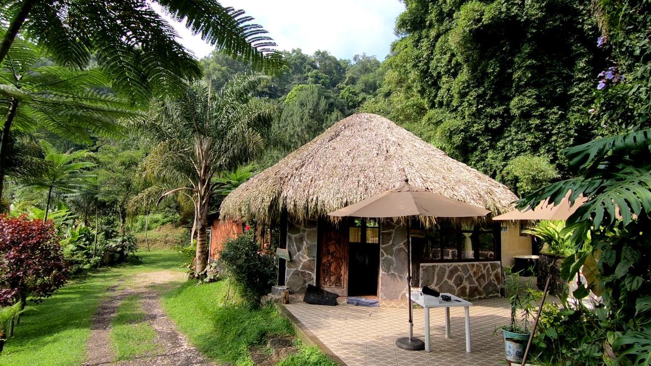 Eco Hotel La Jicarita Coatepec  Exterior photo