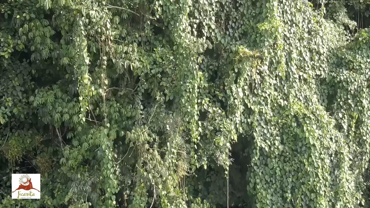 Eco Hotel La Jicarita Coatepec  Exterior photo